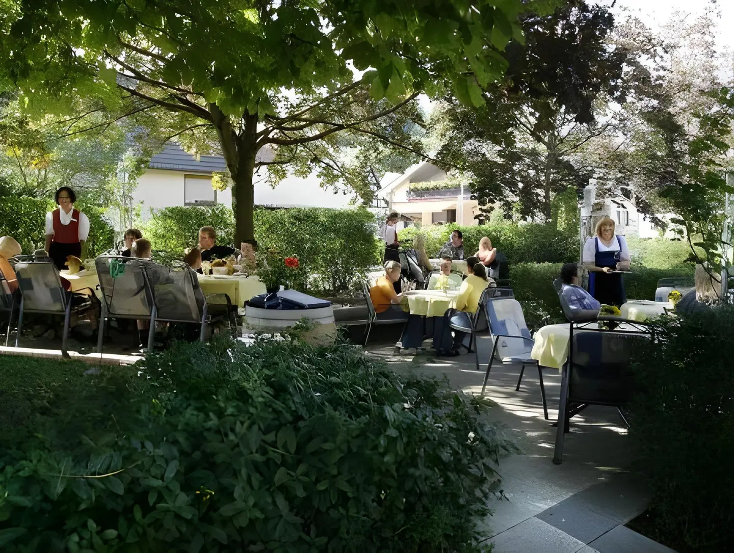 Rebstock Garten