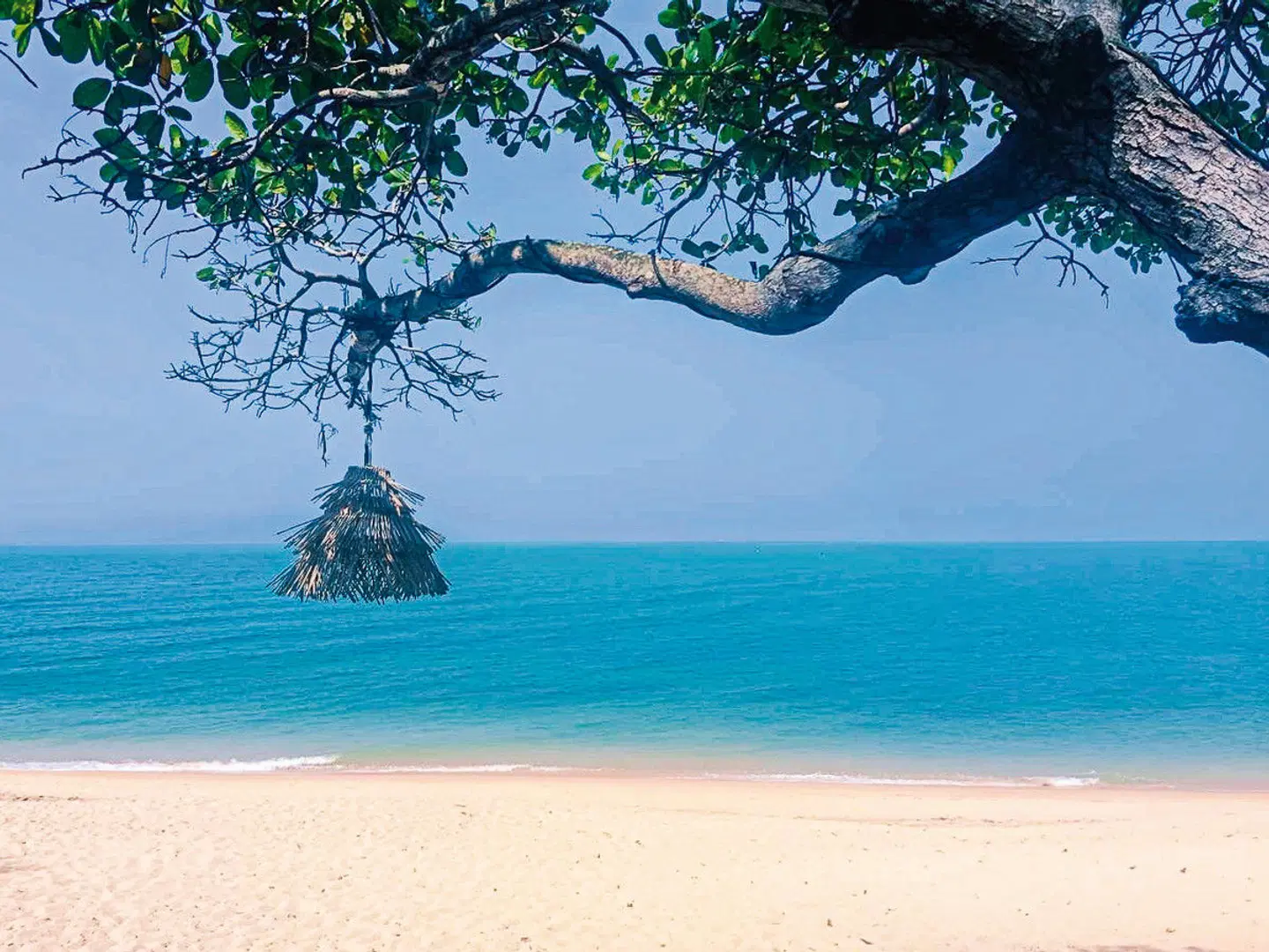 Saree Samui Strand