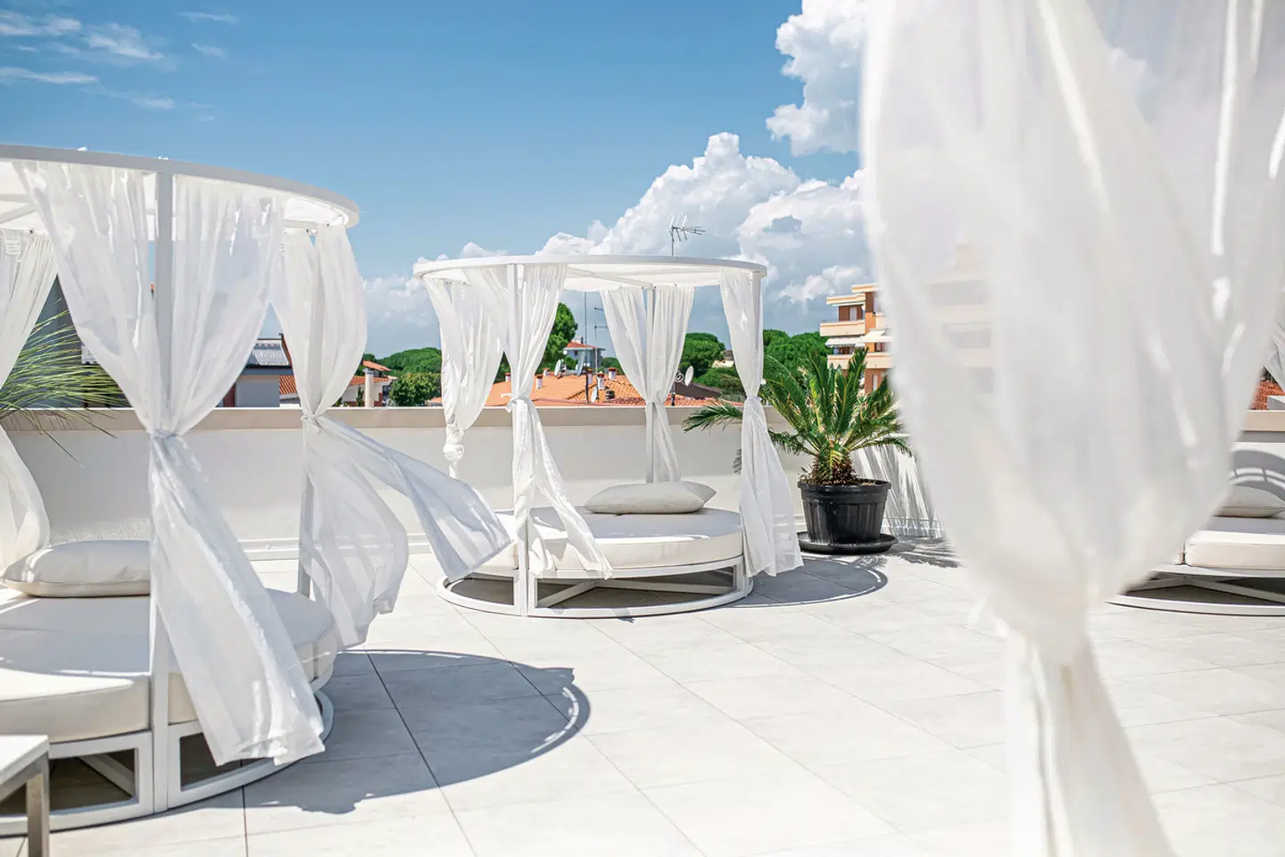 Jasminum Terrasse