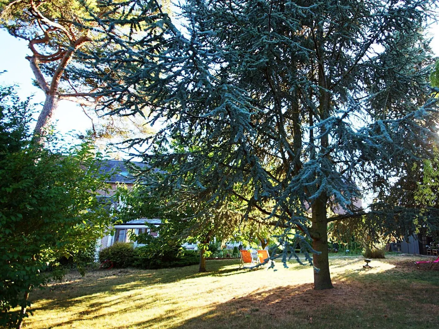 La Salamandre LANDSCAPE
