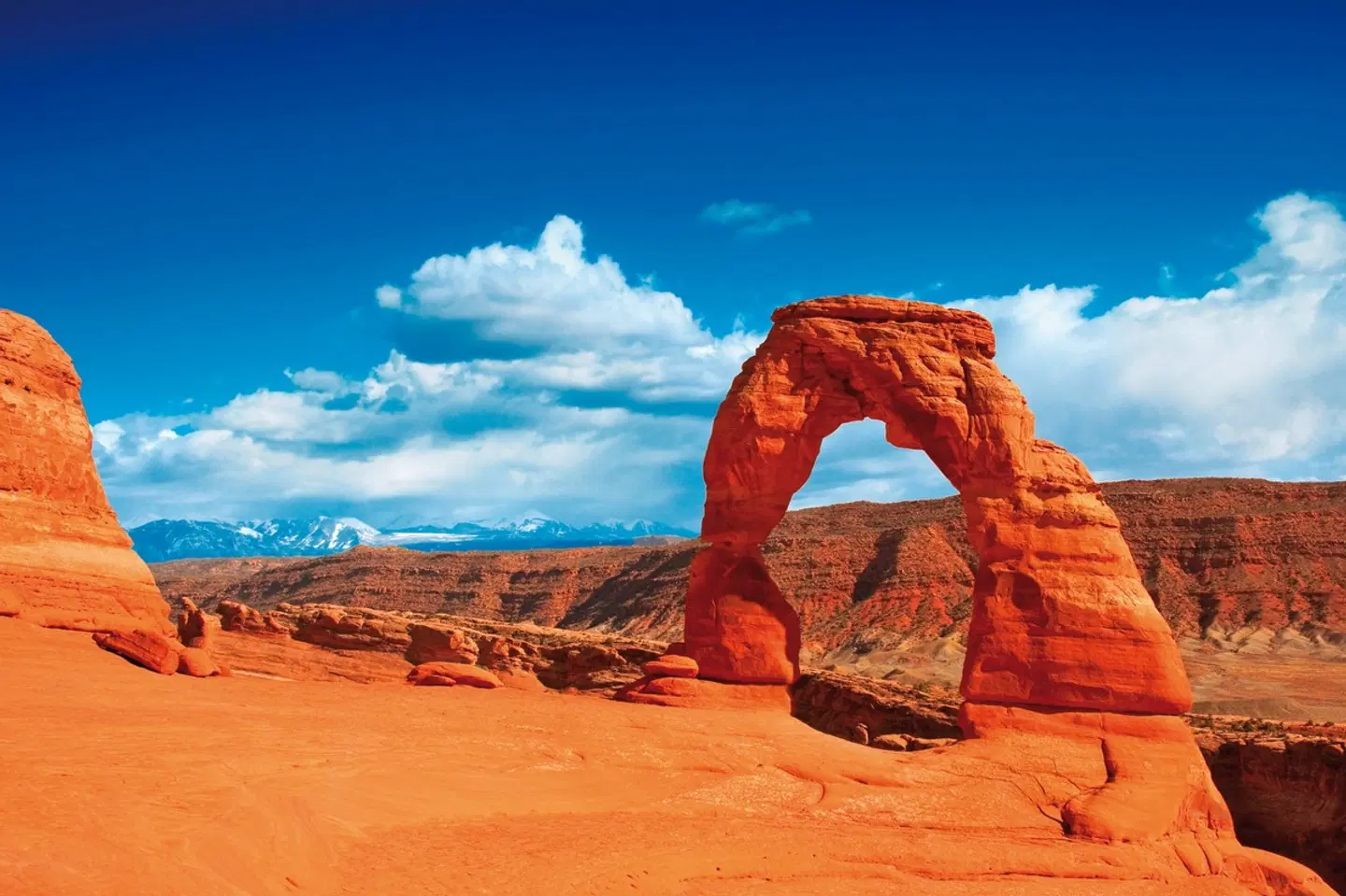 USA Rockies & Canyon Spirit Tiere