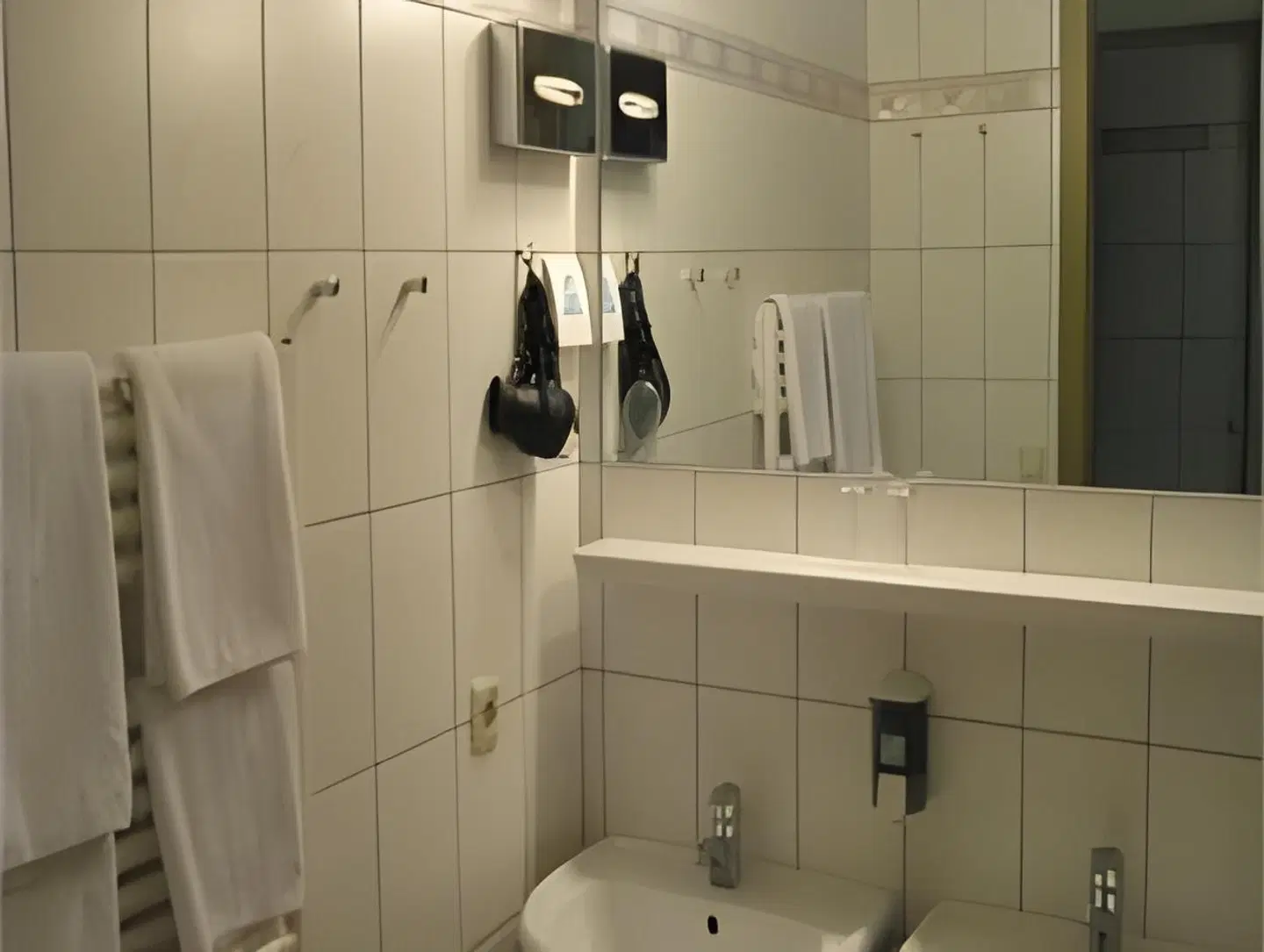 Alpenland Badezimmer