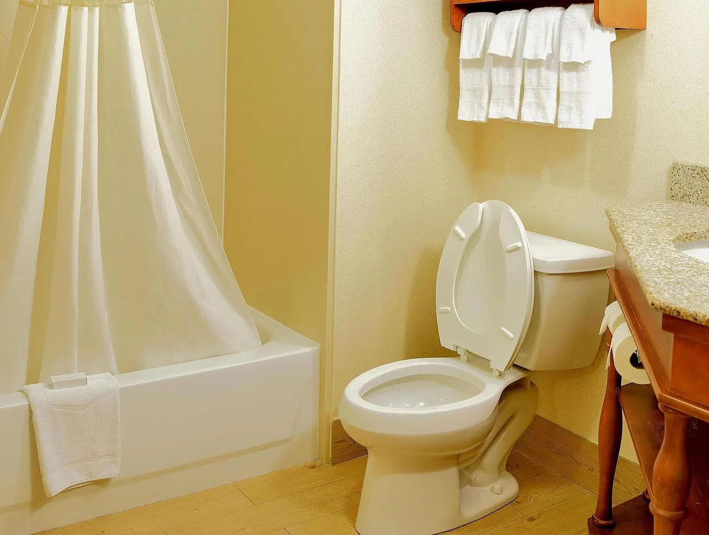 Hampton Inn & Suites Williamsburg-Richmond Rd. Badezimmer