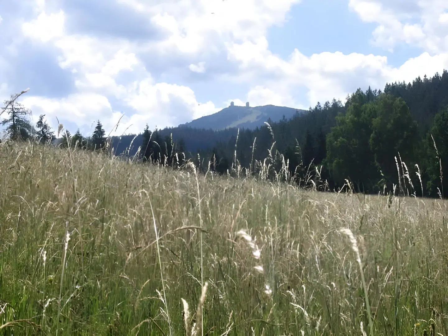 Landhotel GrünWies LANDSCAPE