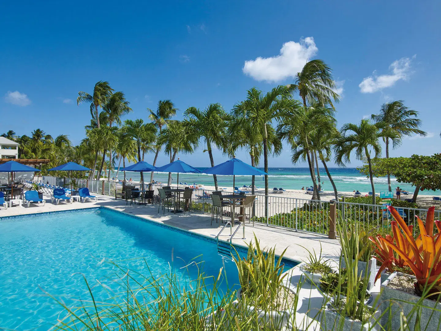 Coconut Court Beach OUTDOOR_POOL