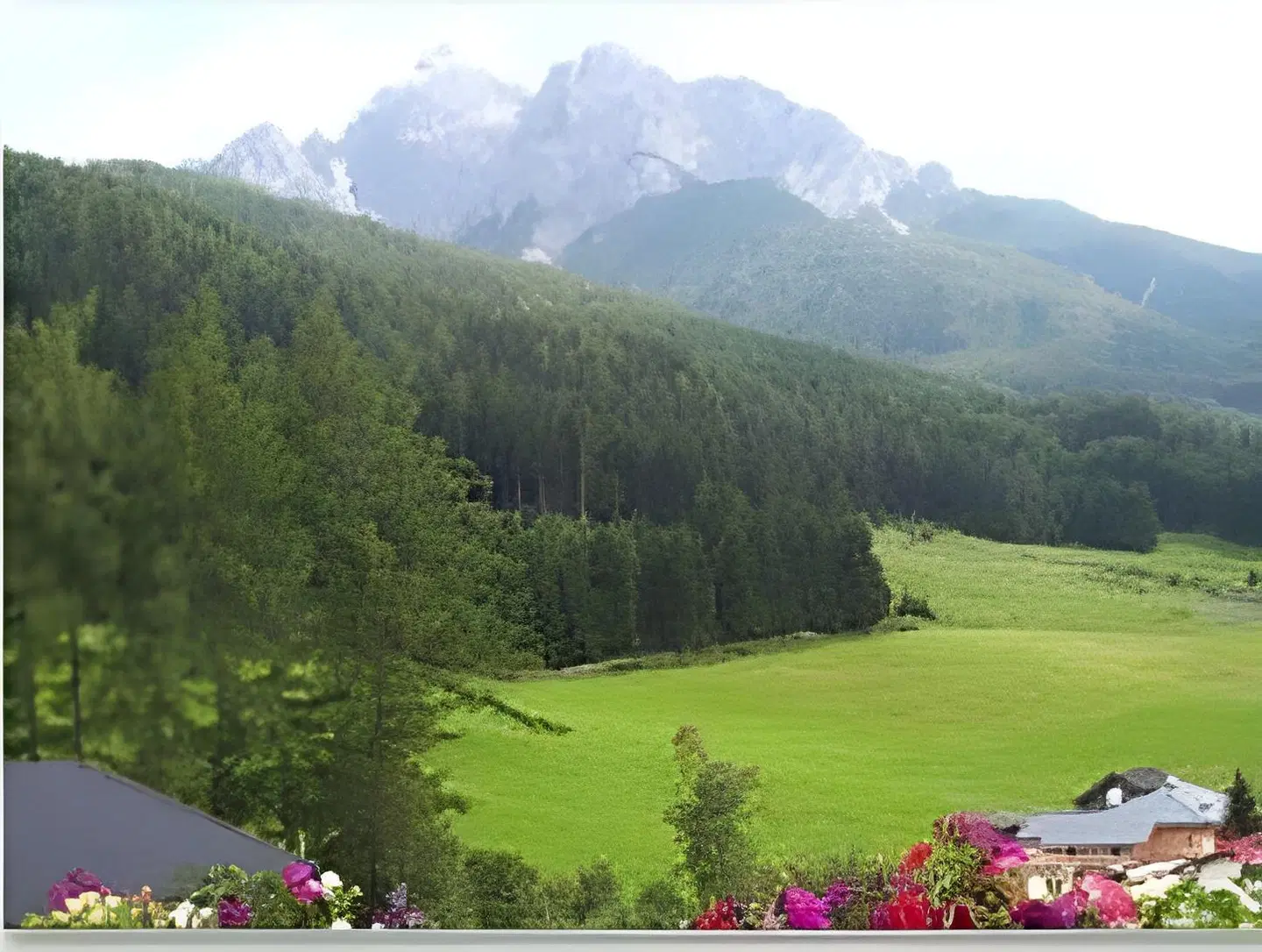 Hotel Wiesenhof LANDSCAPE