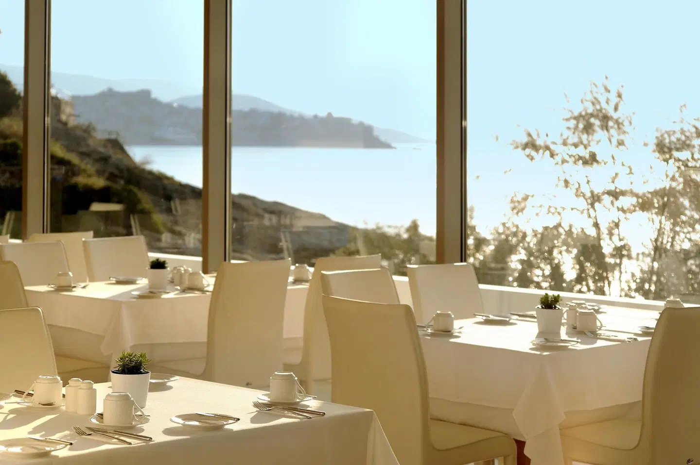 Lucy Hotel Restaurant