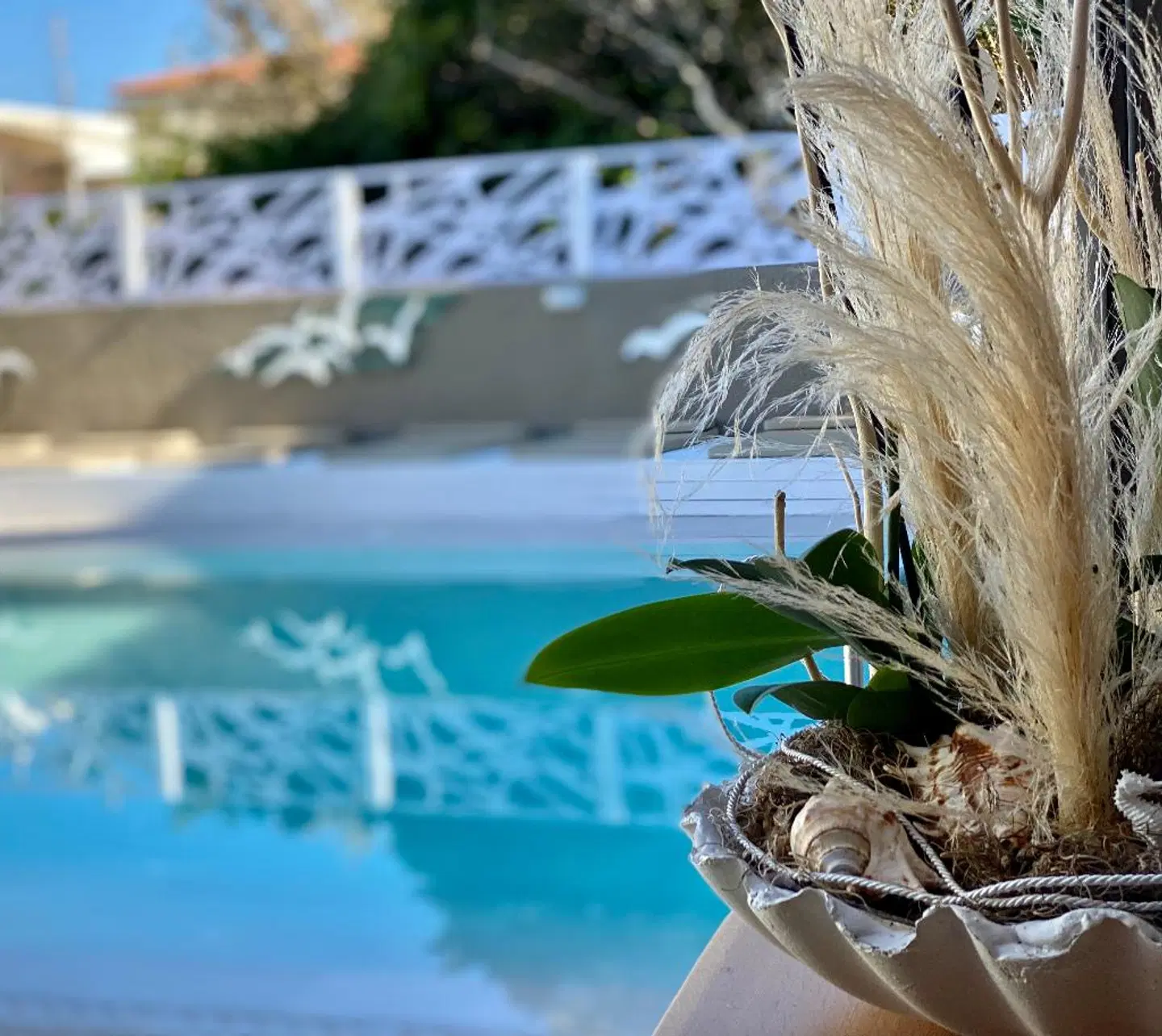 Europa Hotel OUTDOOR_POOL