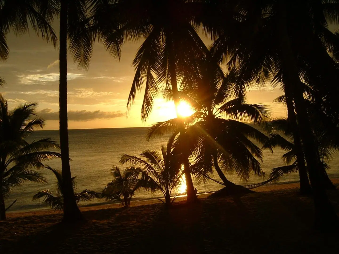 Palm Point Village LANDSCAPE