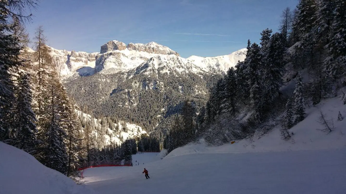 GH Monzoni Hotel LANDSCAPE