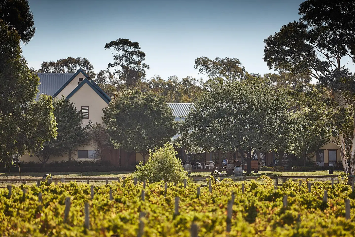 Balgownie Estate Winery - Bendigo House LANDSCAPE
