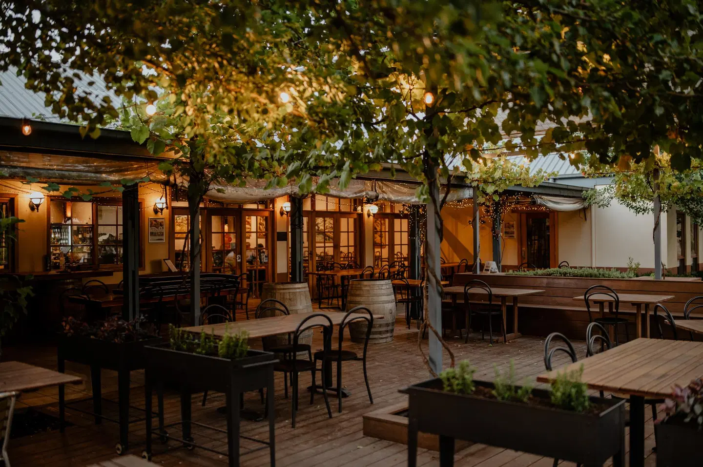 Balgownie Estate Winery - Bendigo House Terrasse