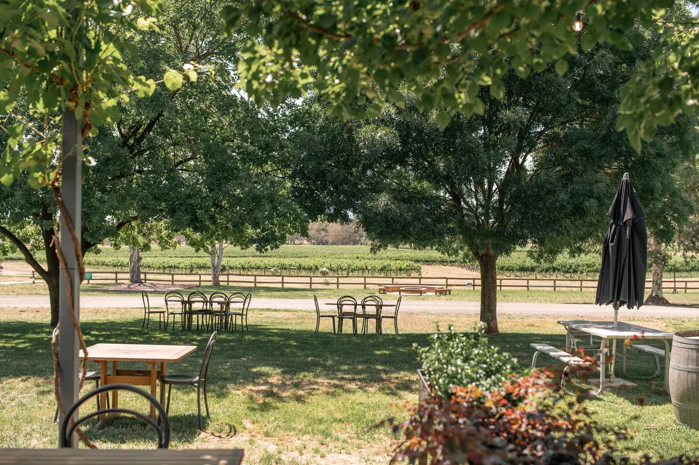 Balgownie Estate Winery - Bendigo House Garten