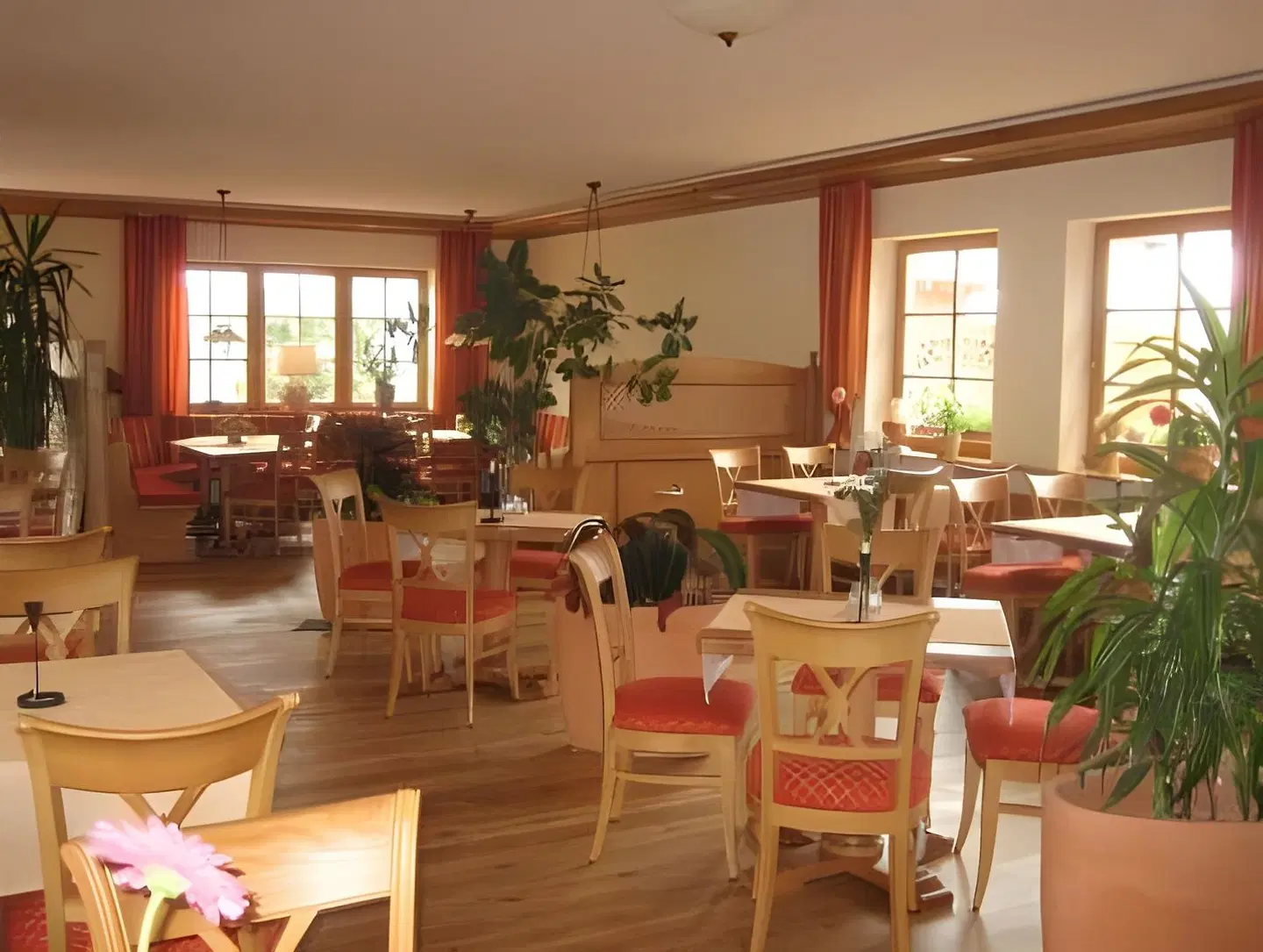 Zum Steinhof Restaurant