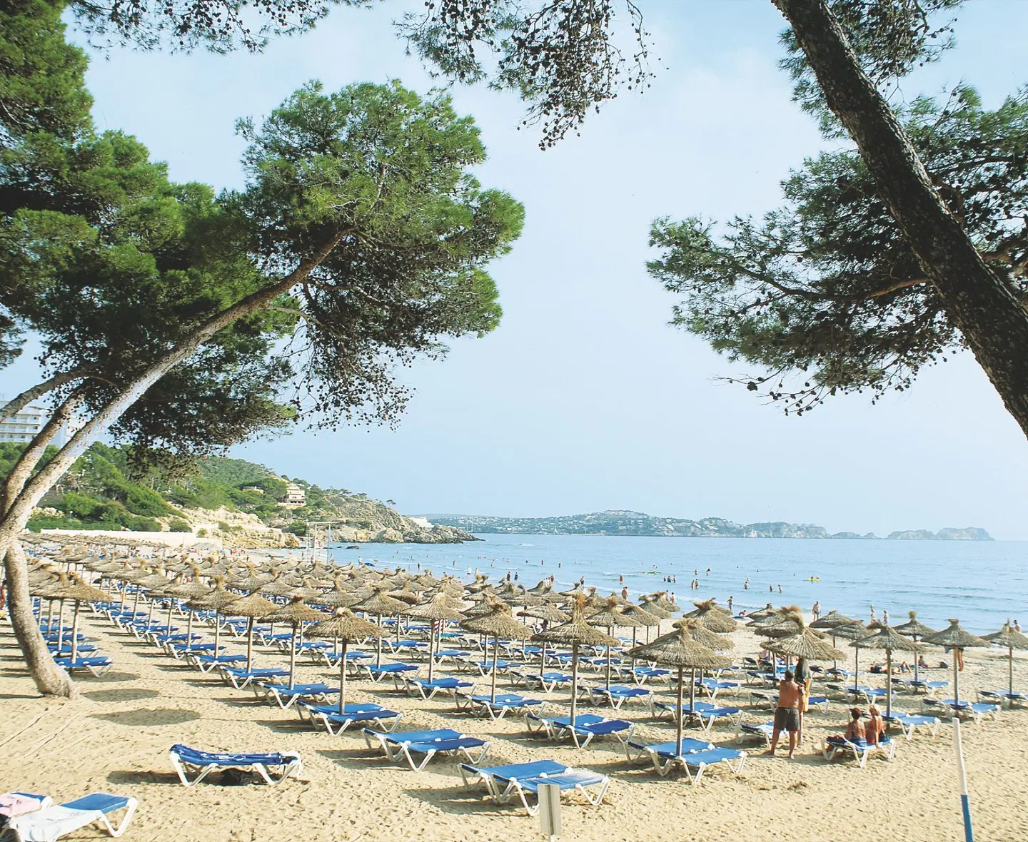 Morlans Garden Strand