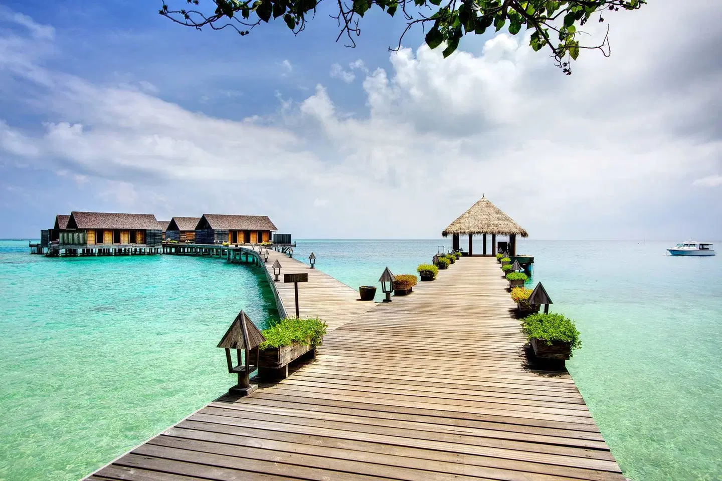 Gangehi Island Resort LANDSCAPE