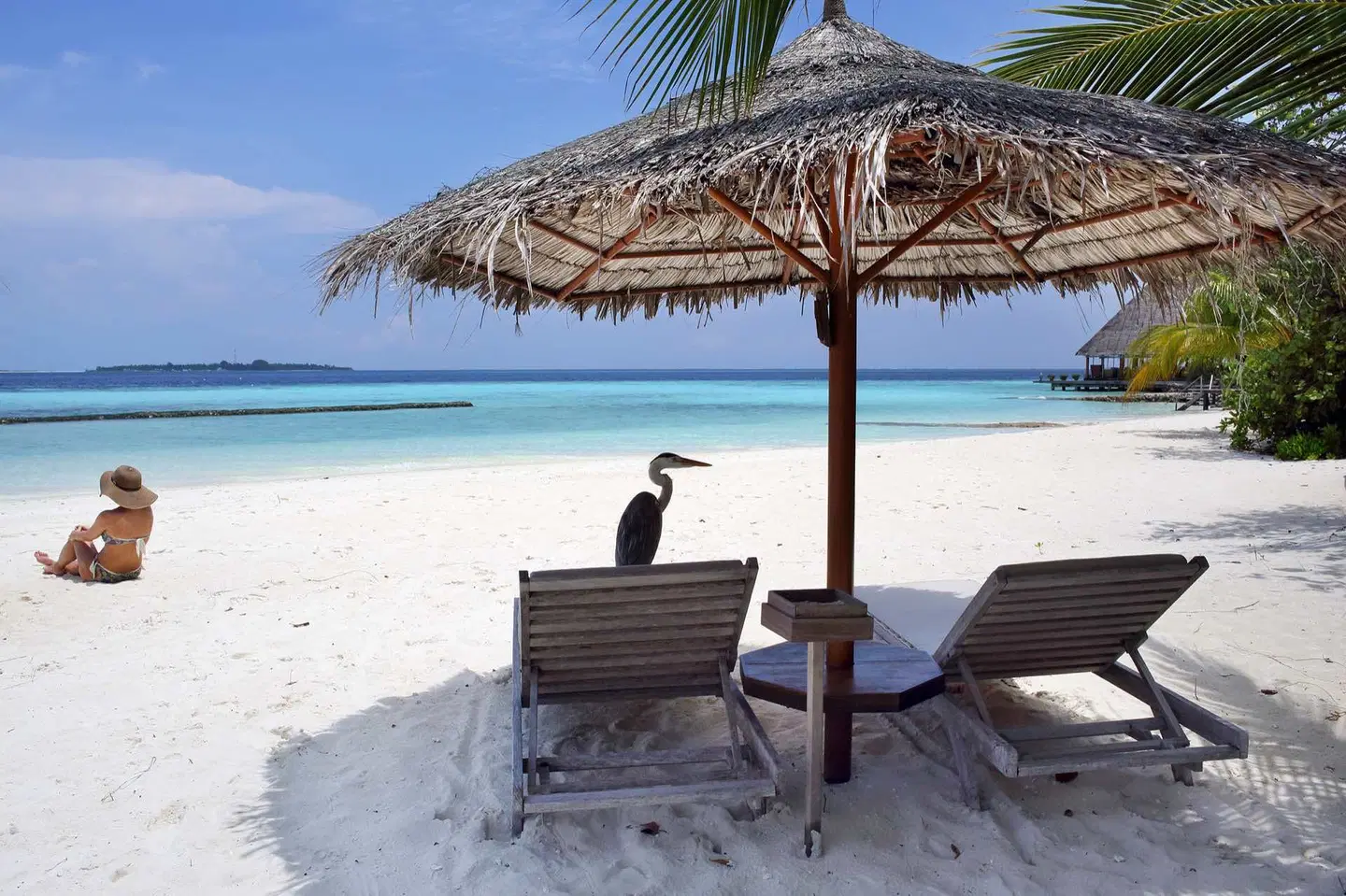 Gangehi Island Resort Strand