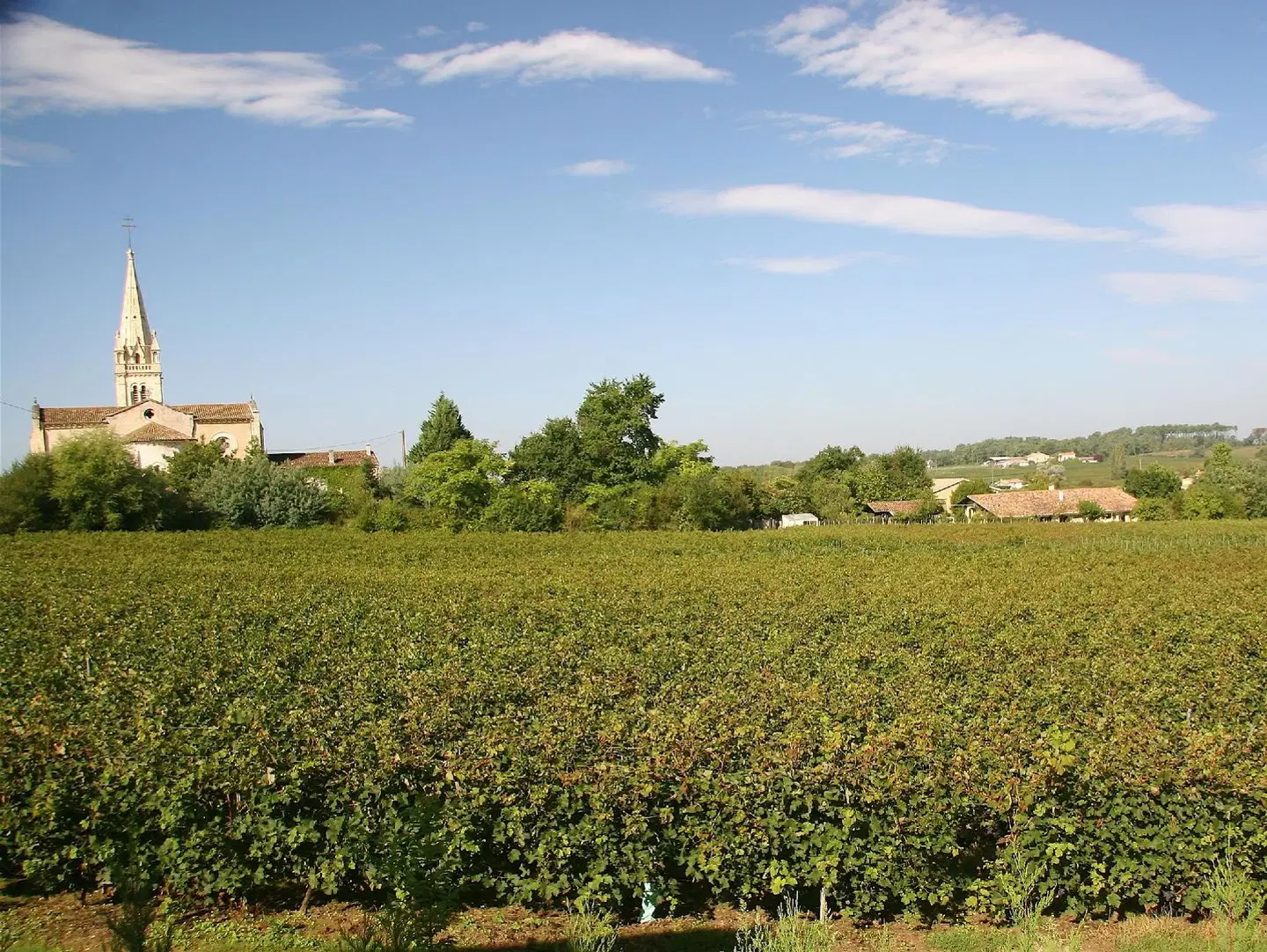 Chateau de Lantic LANDSCAPE