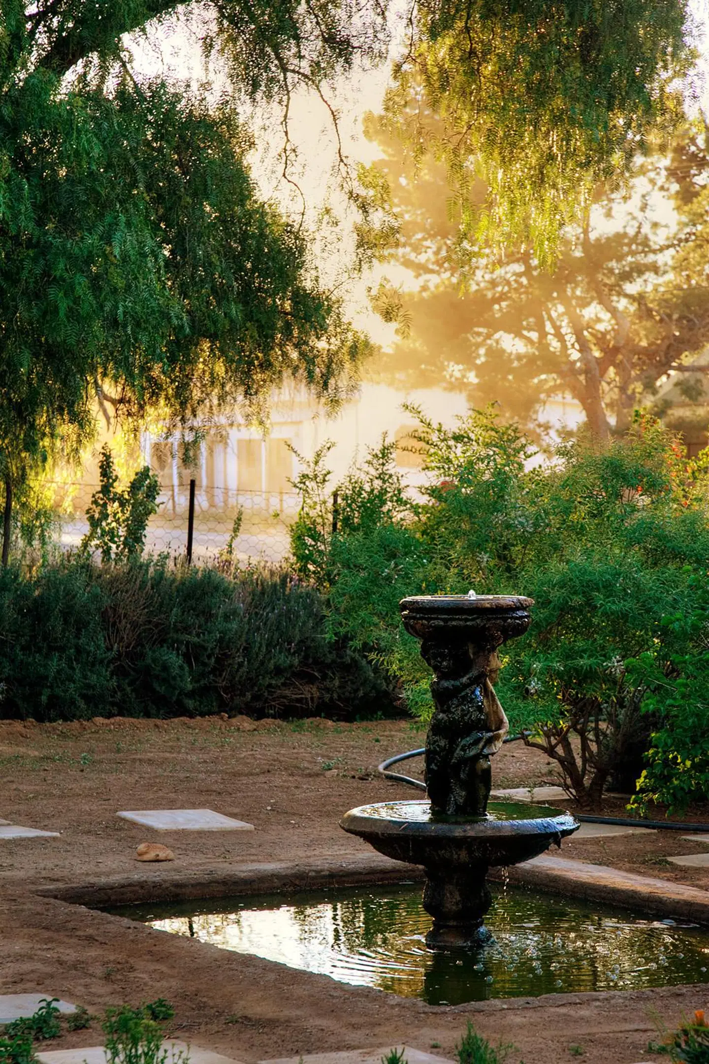 The Willow Historical Guest House Garten