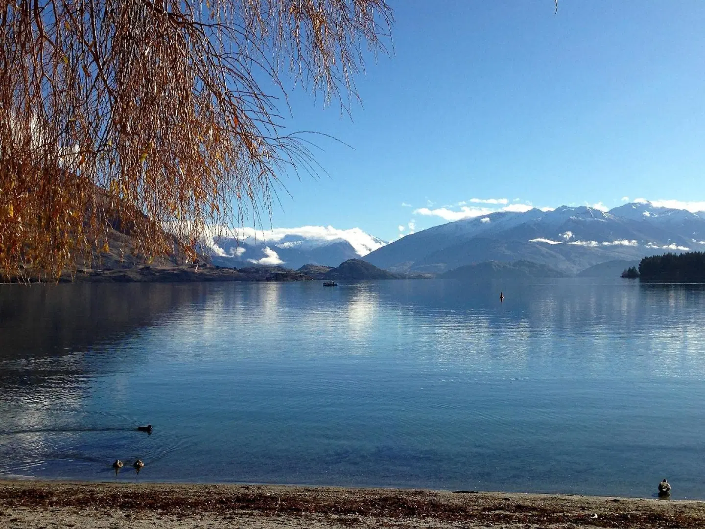 Wanaka Heights Motel LANDSCAPE