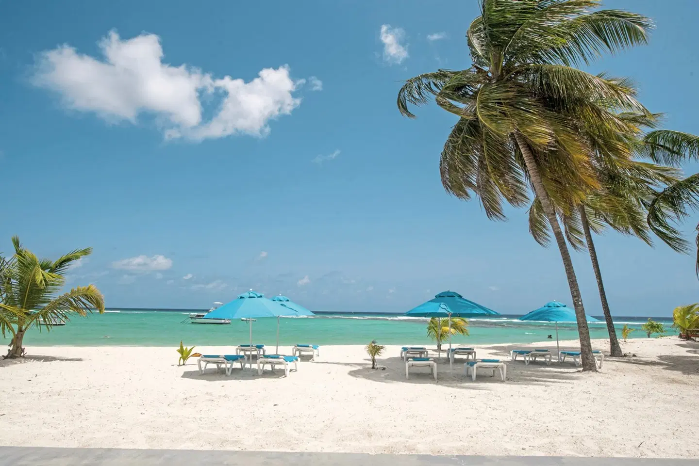 The Sands Barbados Strand