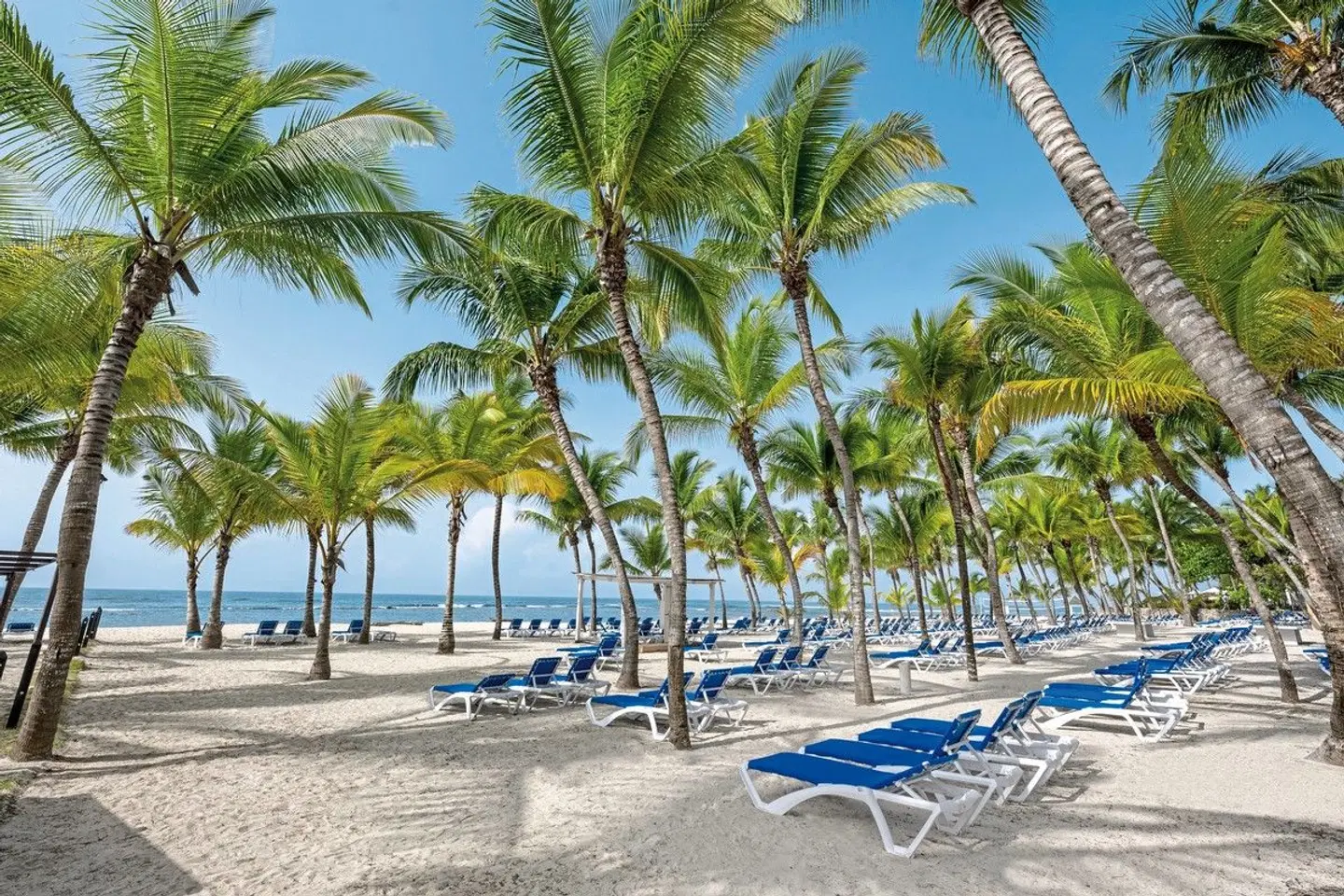 Coral Costa Caribe Beach Resort Strand