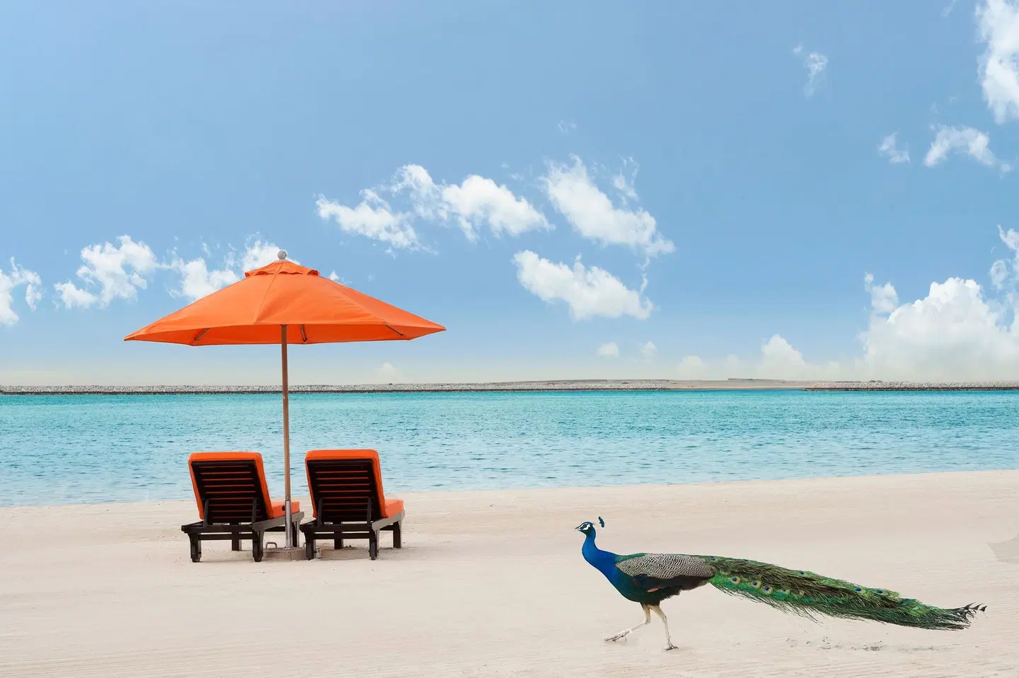 JA The Resort - JA Beach Hotel BEACH