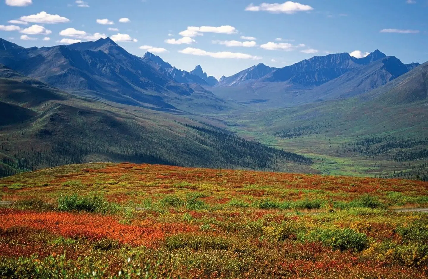 Auf dem Seeweg nach Alaska LANDSCAPE