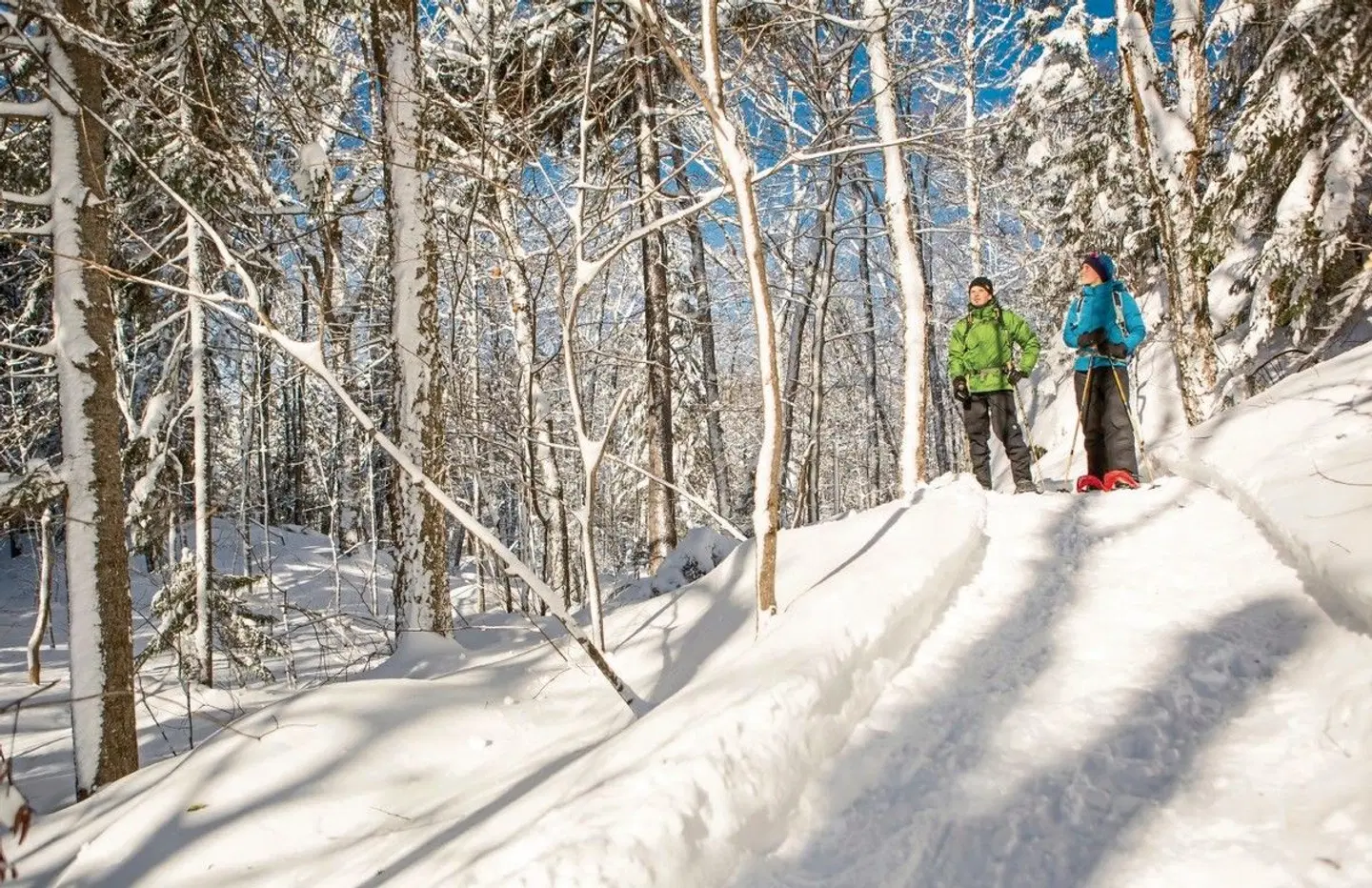 Québec Winter Wonderland LANDSCAPE