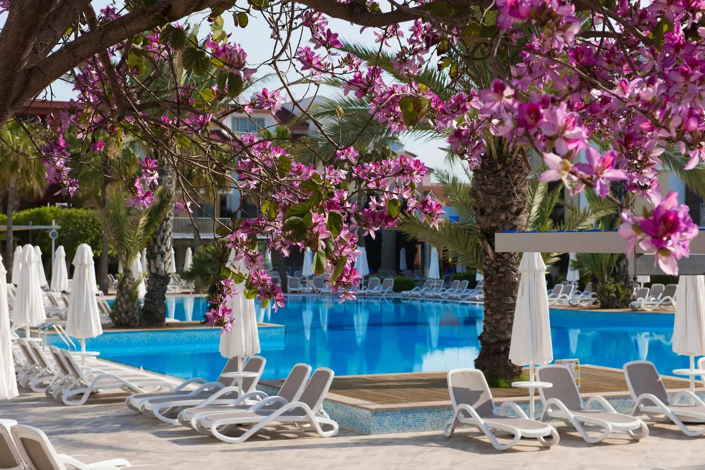 Barut B Suites OUTDOOR_POOL