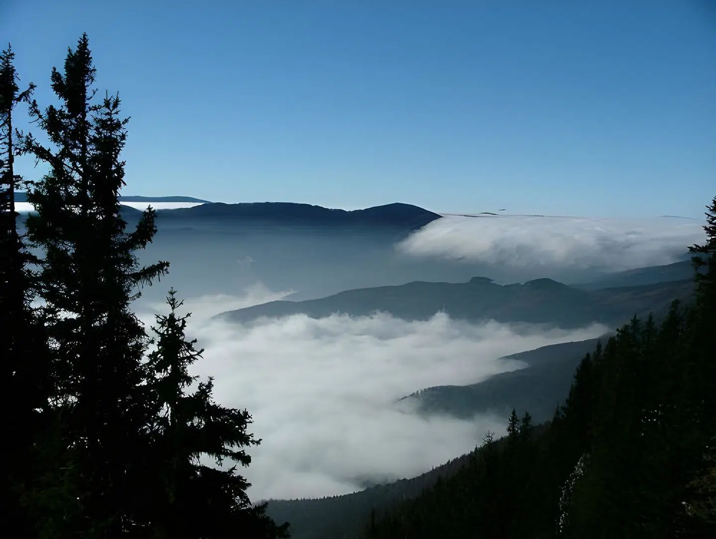 Raxalpenhof LANDSCAPE