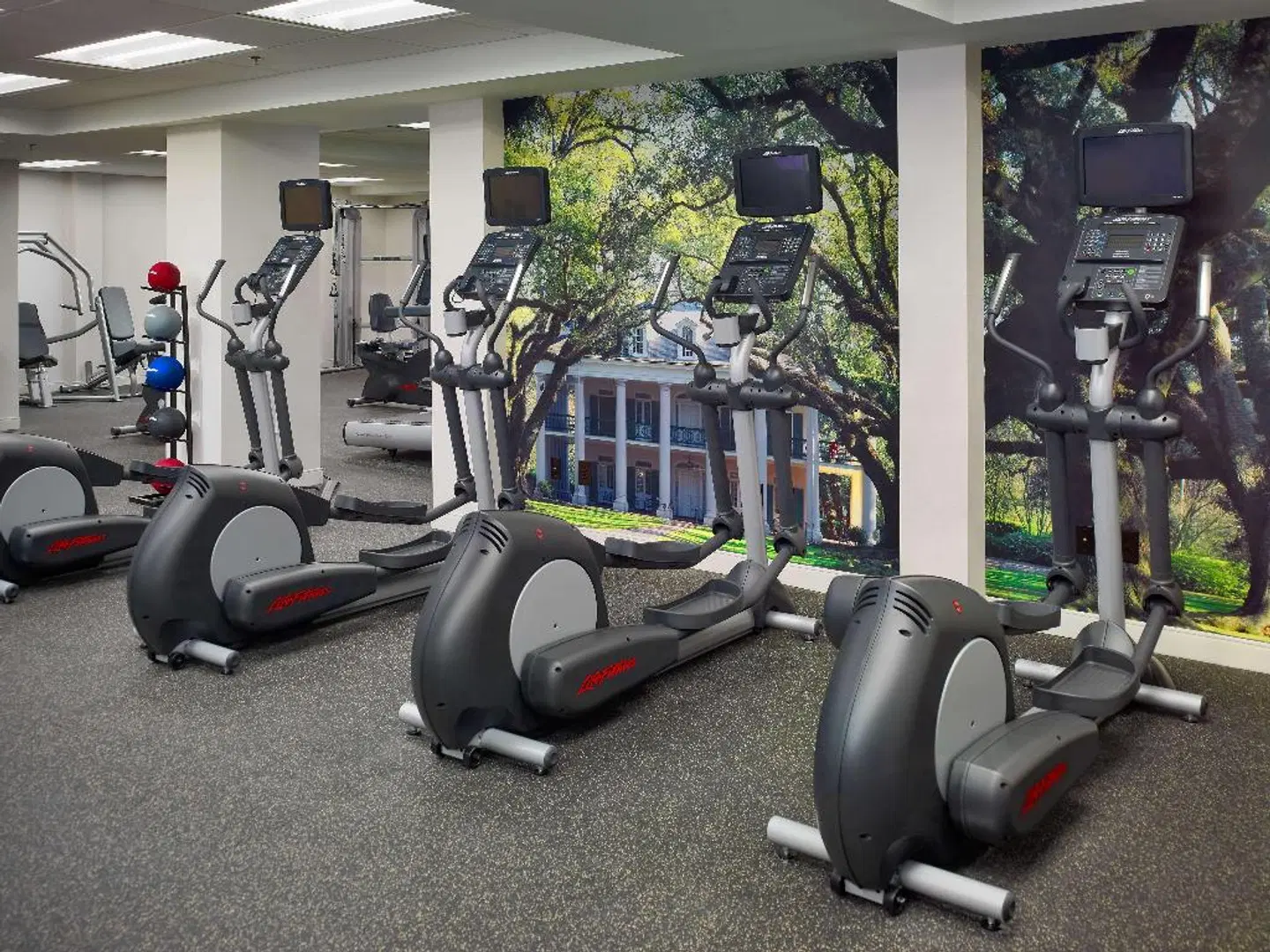 Royal Sonesta Hotel New Orleans SPORTS_AND_LEISURE