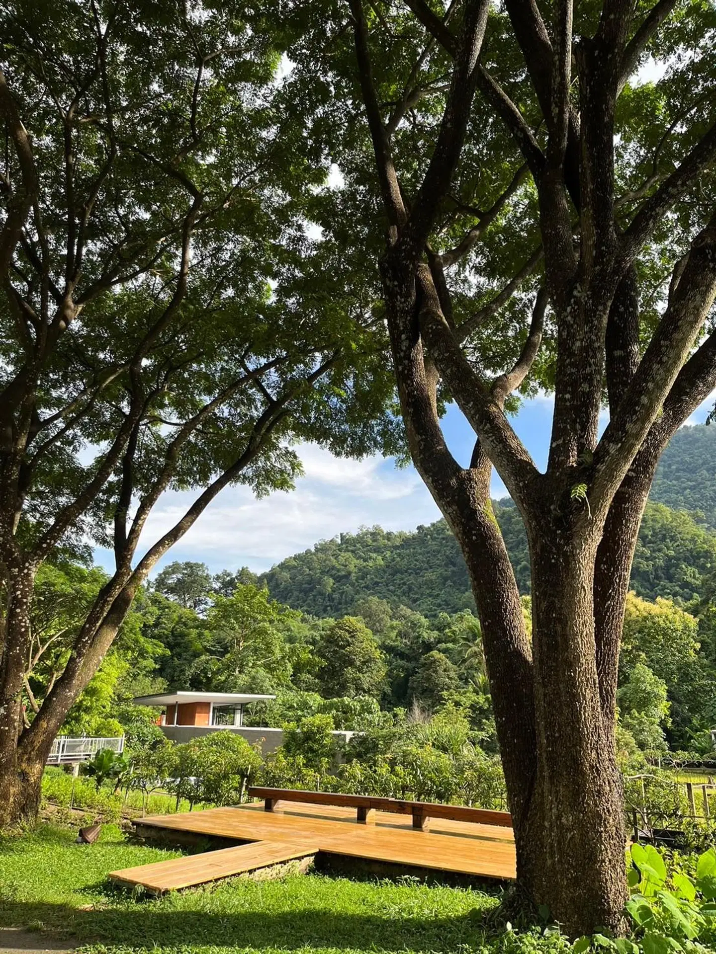 Villa De View Chiang Dao LANDSCAPE