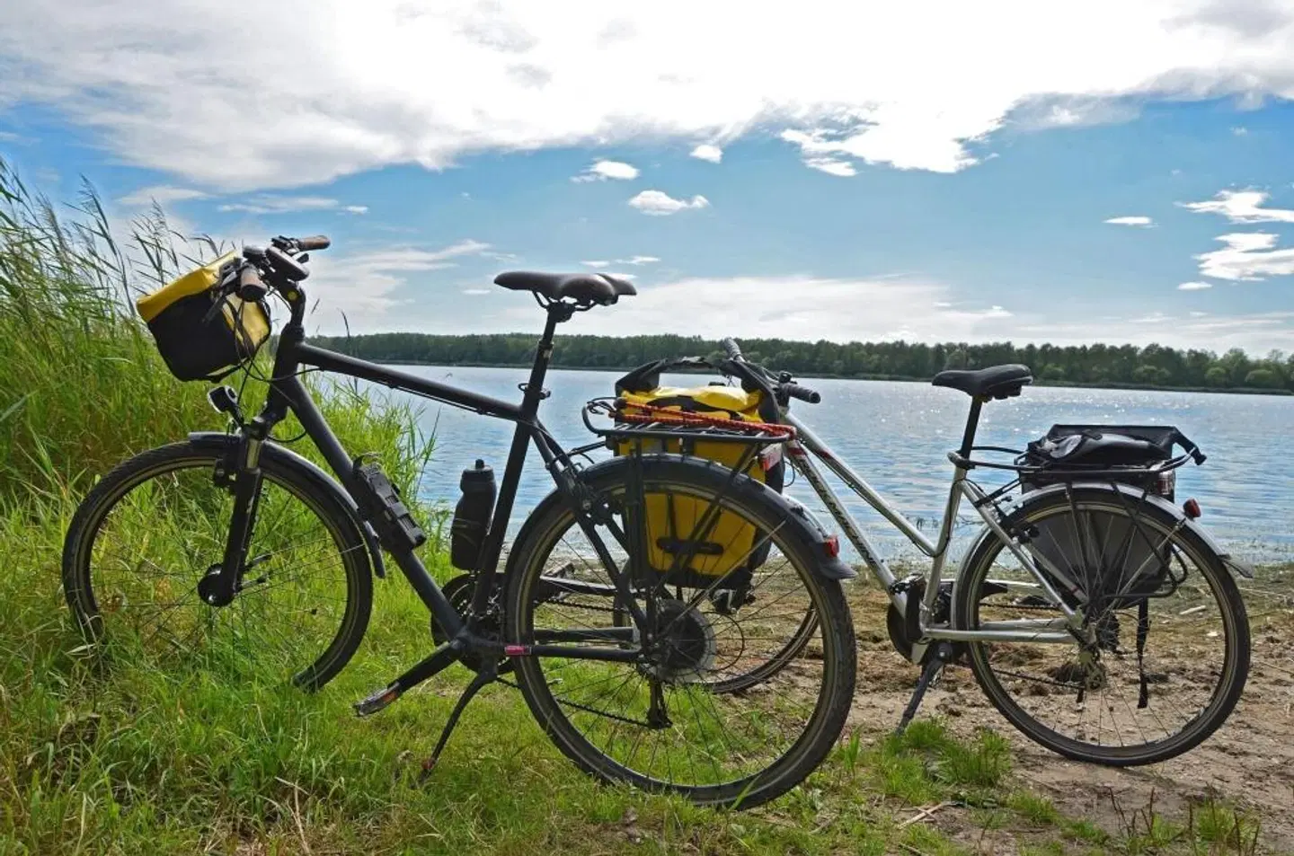 Dogana SPORTS_AND_LEISURE