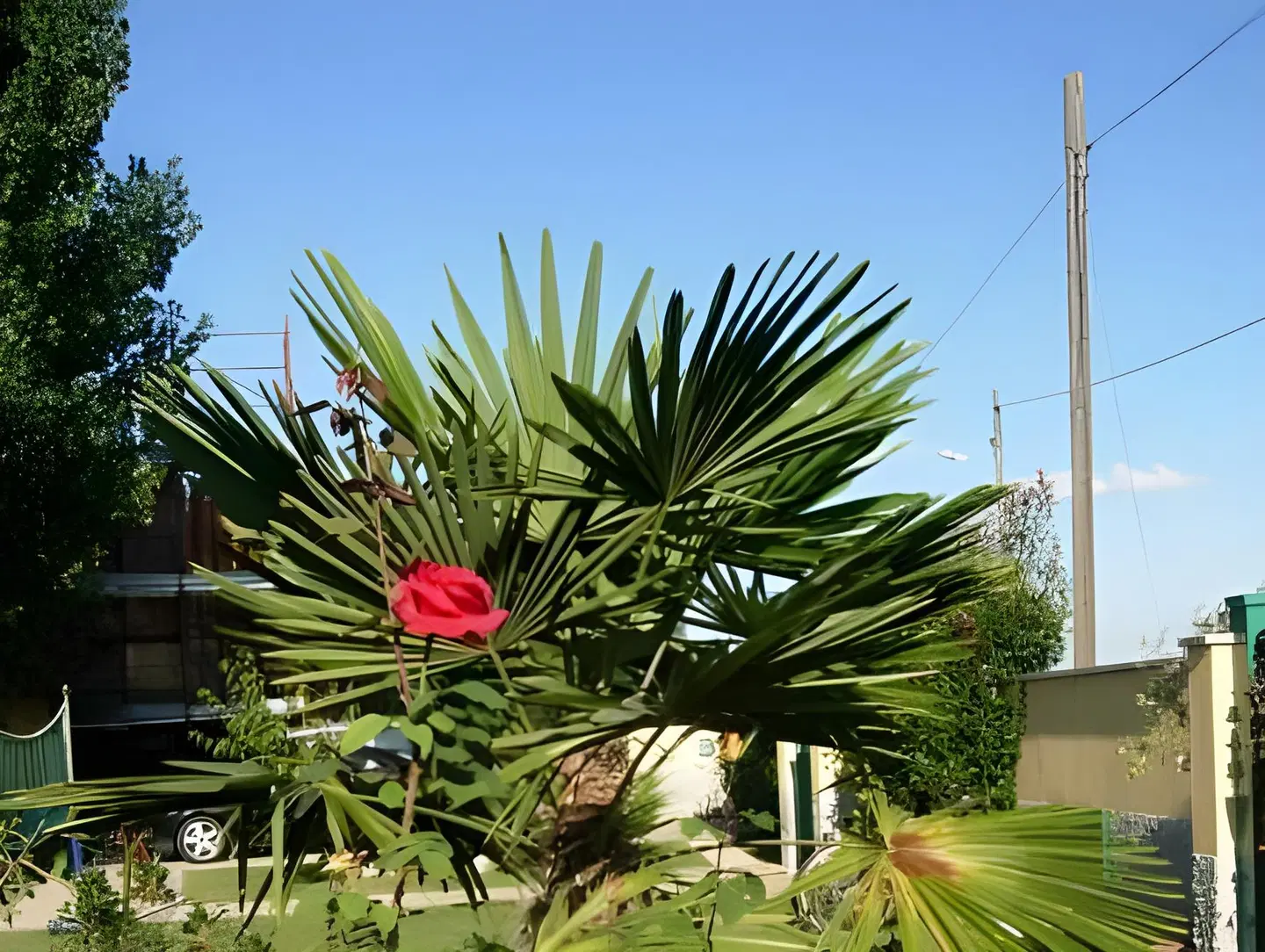 B&B Il Pioppo E La Fonte Garten