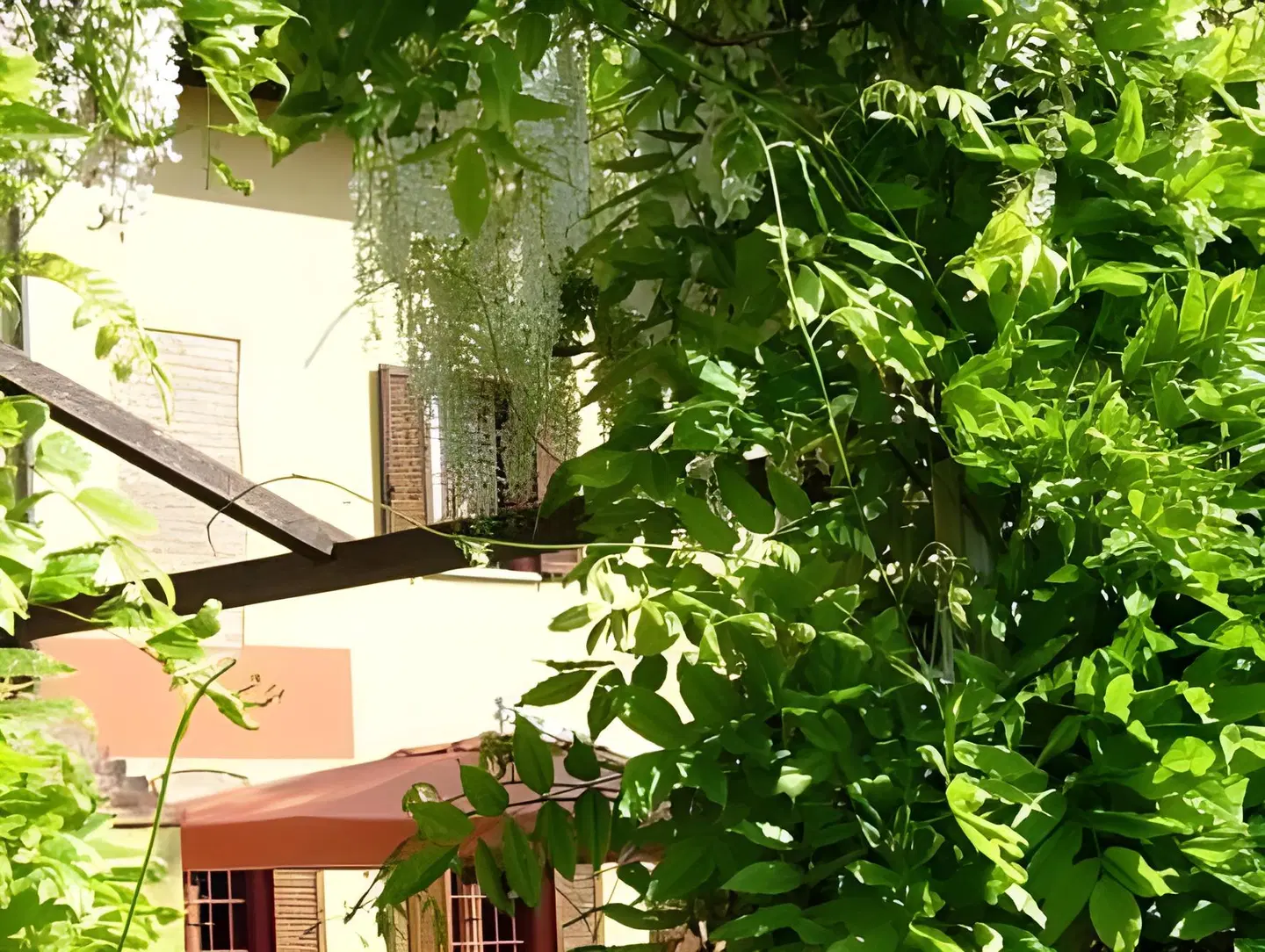 B&B Il Pioppo E La Fonte Terrasse