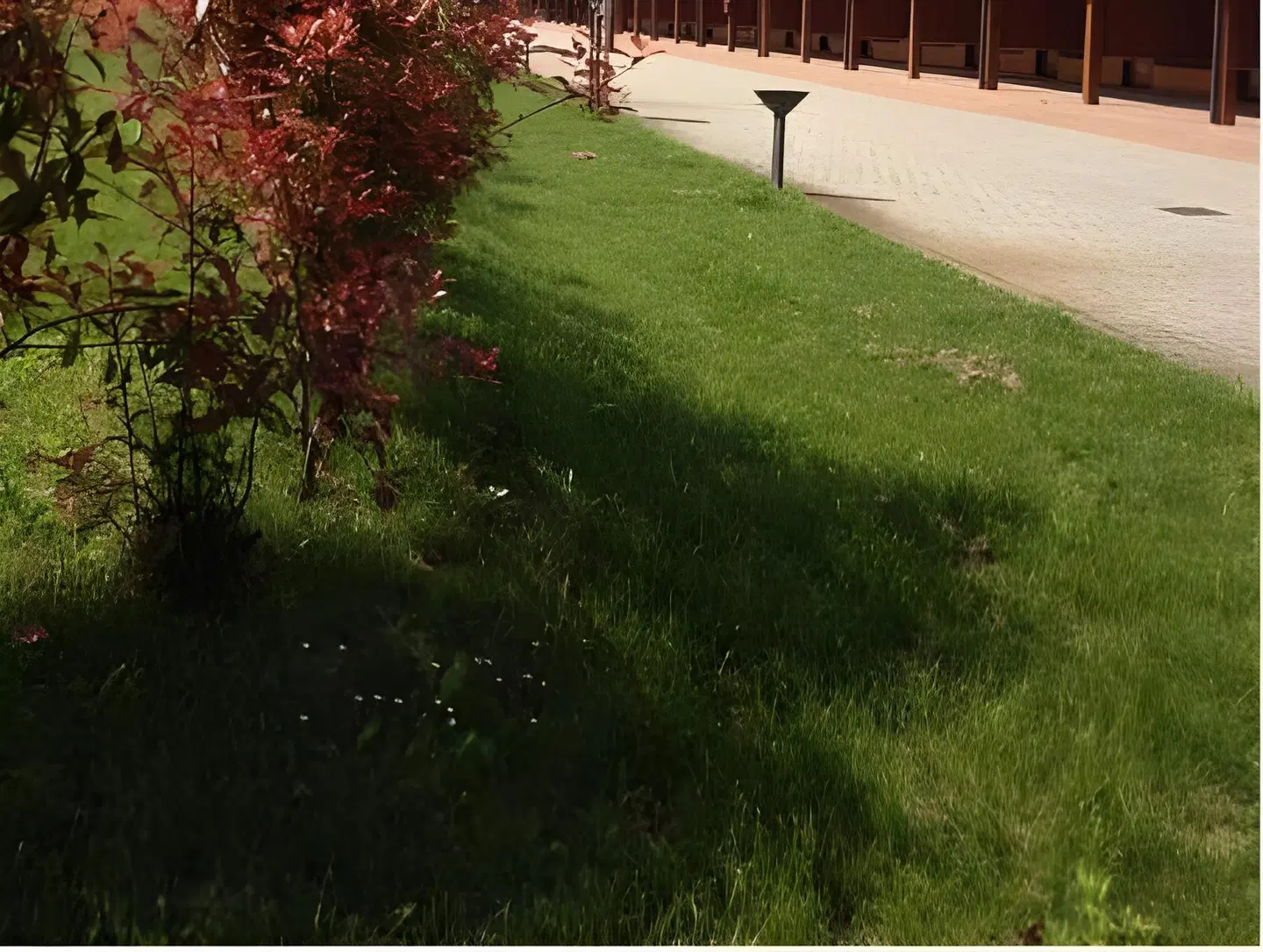 Motel 7 Laghi SPORTS_AND_LEISURE