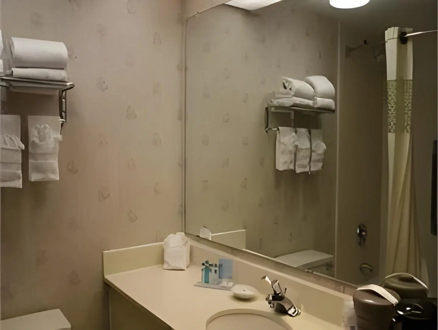 Hampton Inn Anderson Badezimmer