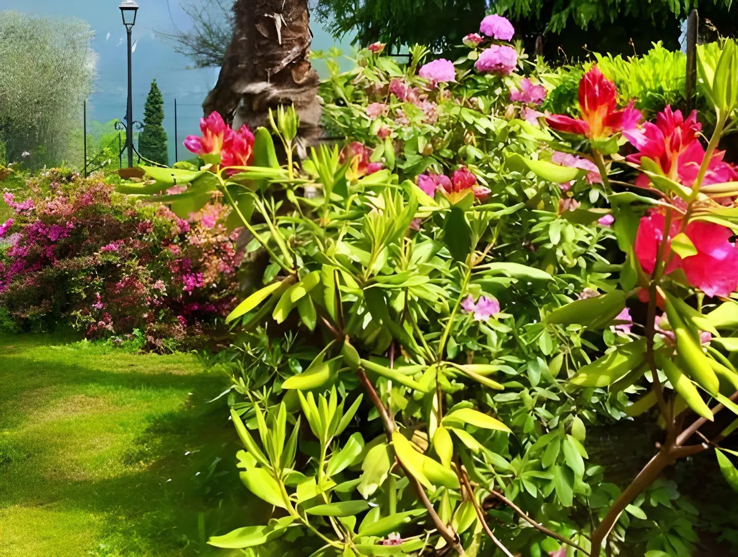 Appartamenti Casa La Rosa Garten