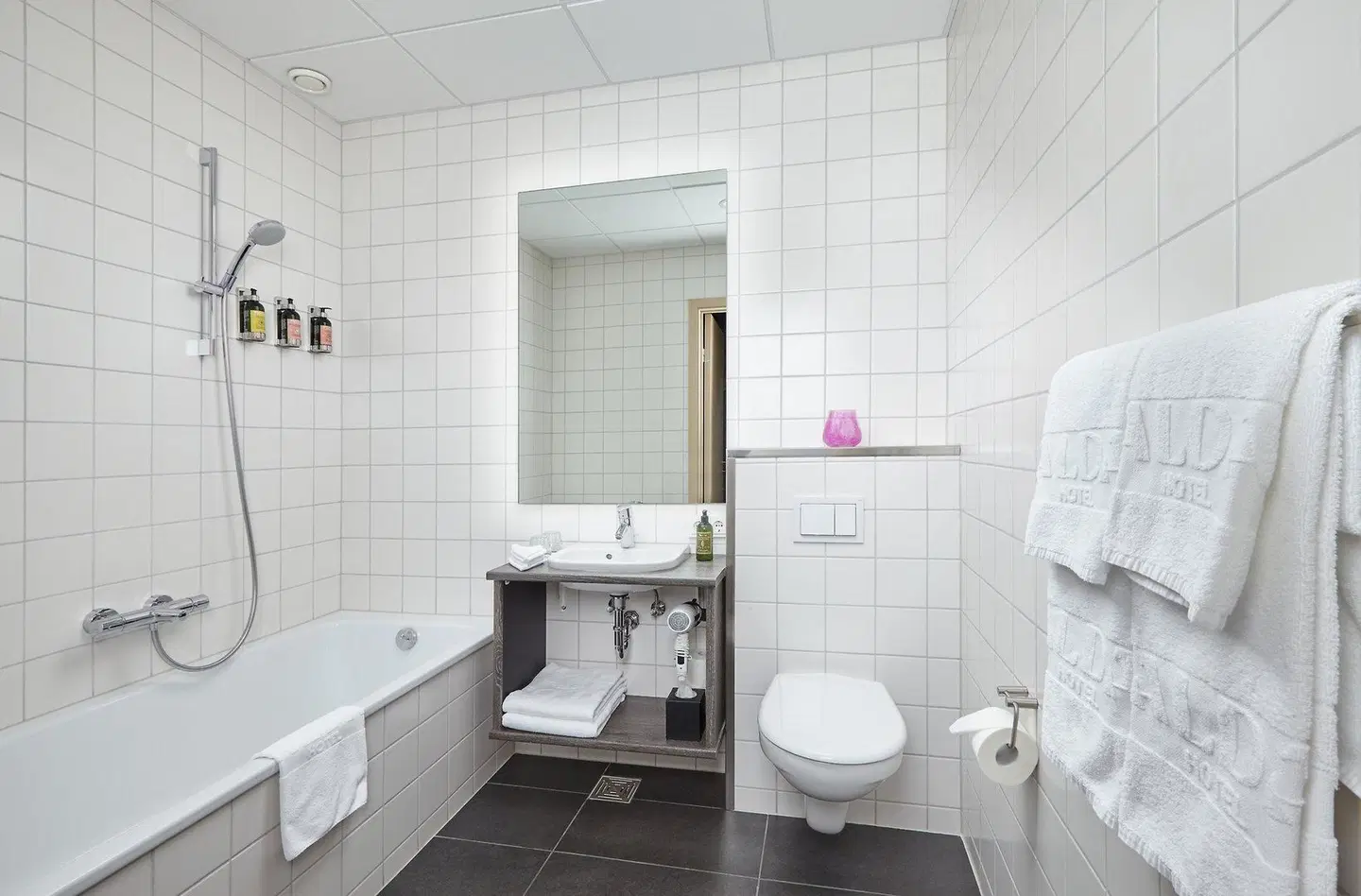 Alda Hotel Reykjavík Badezimmer