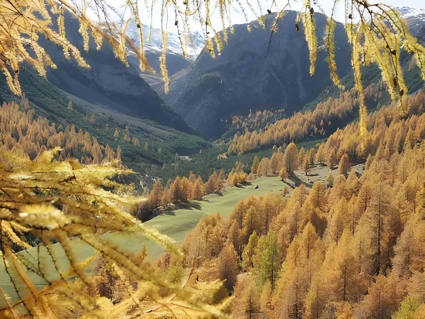 Cepina Albergo Incantato LANDSCAPE