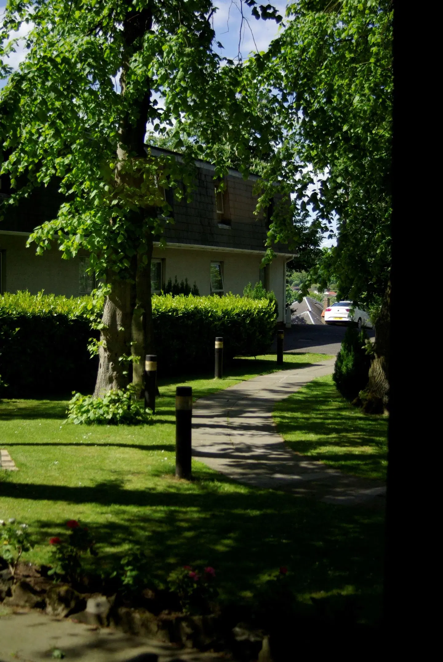 Pitbauchlie House Garten