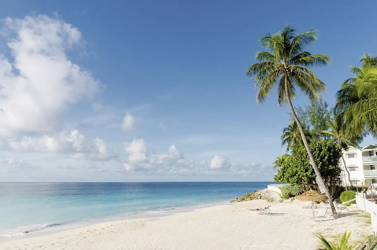 Bougainvillea Barbados BEACH