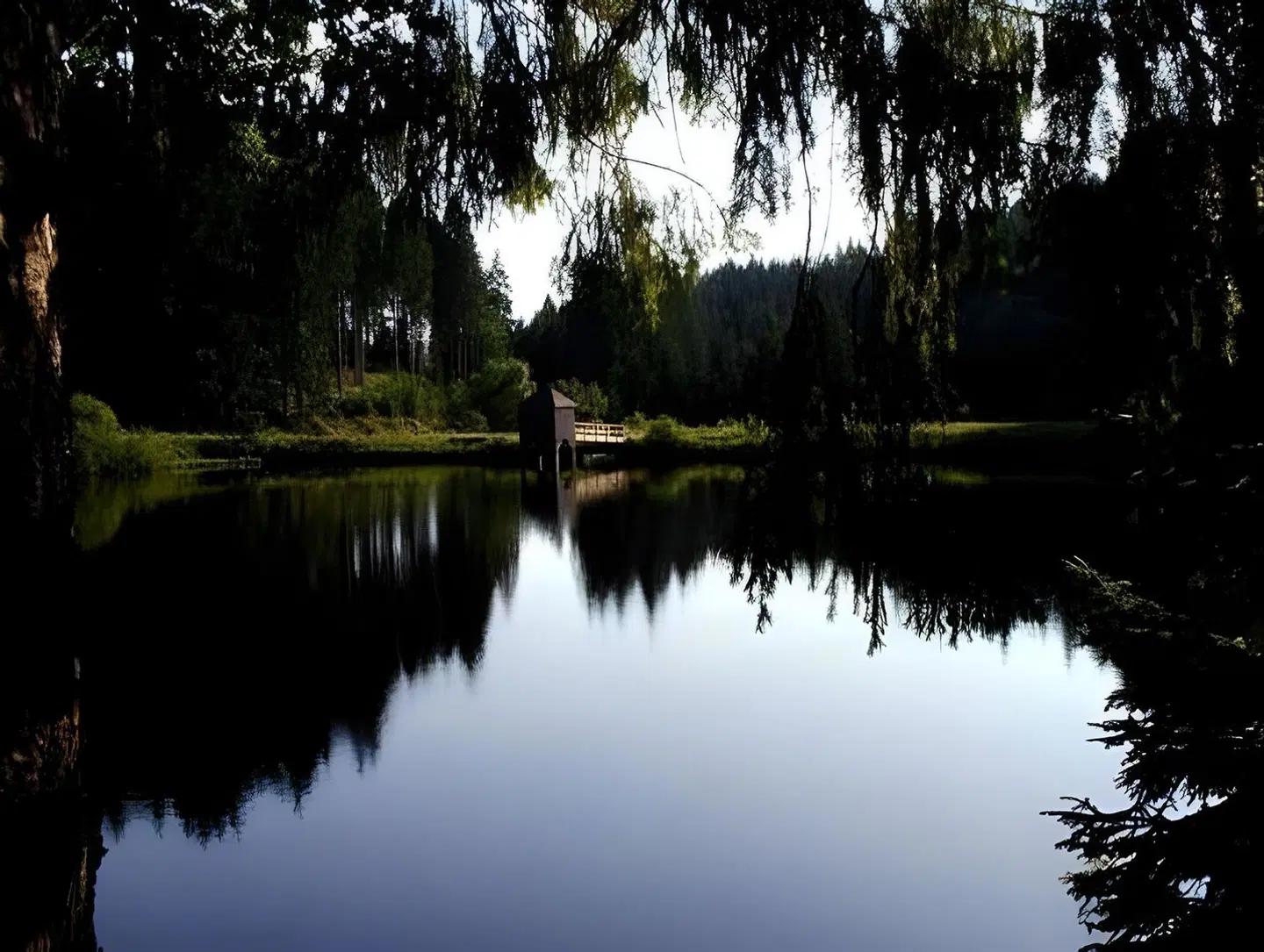 Angerhof LANDSCAPE