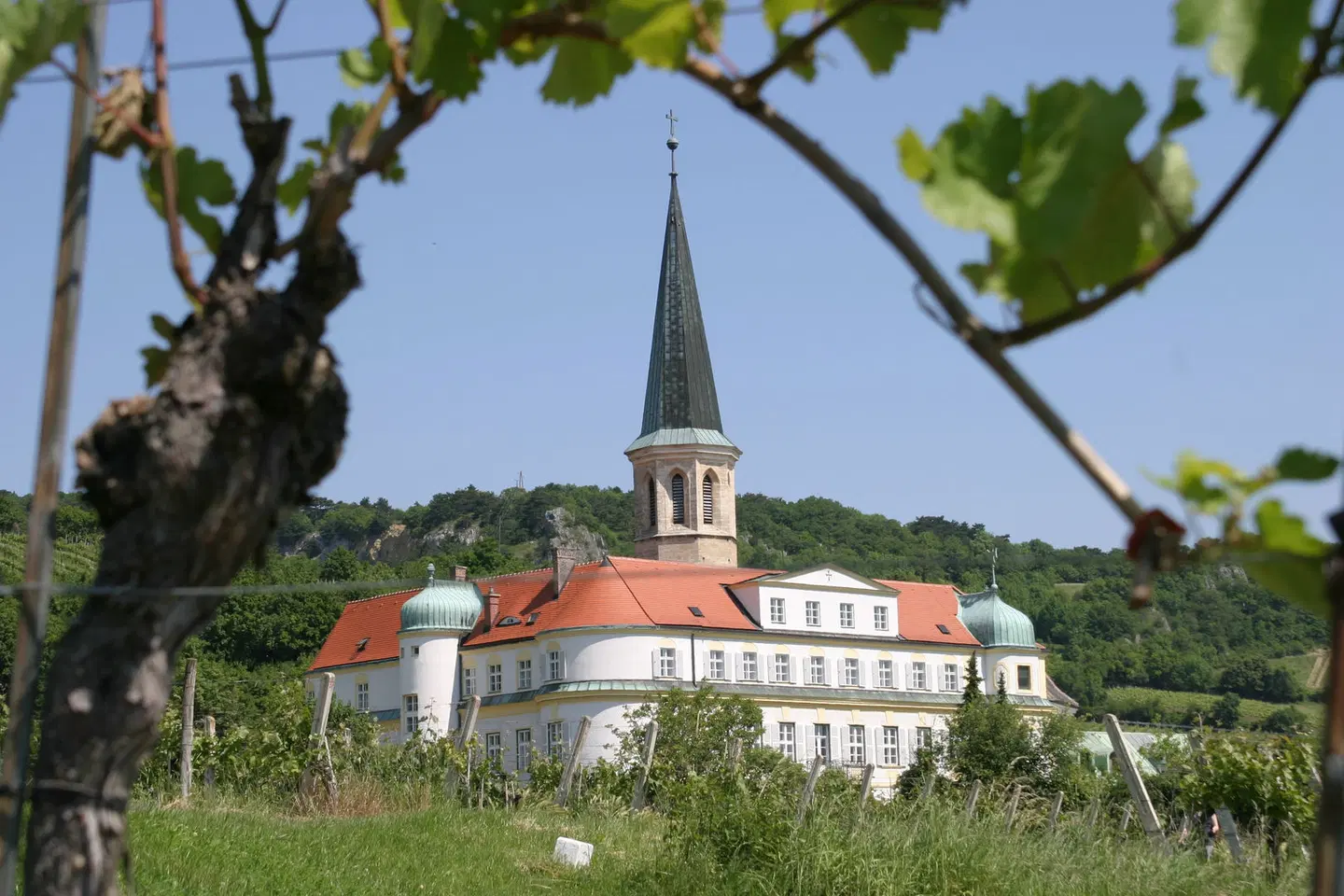 Hotel Schloss Gumpoldskirchen Garten