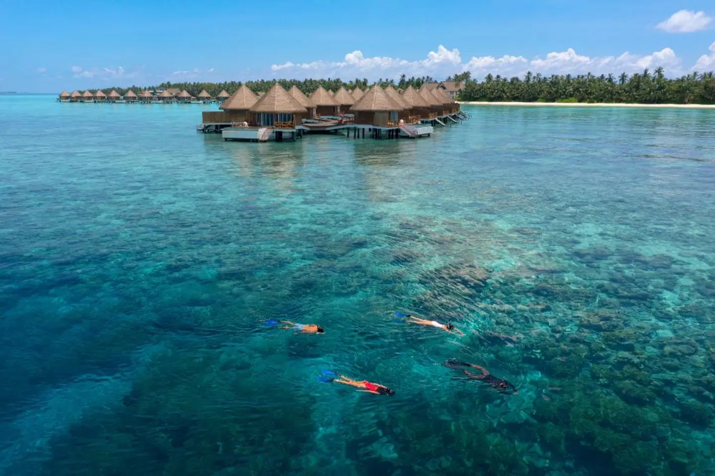 Mercure Maldives Kooddoo Resort Strand