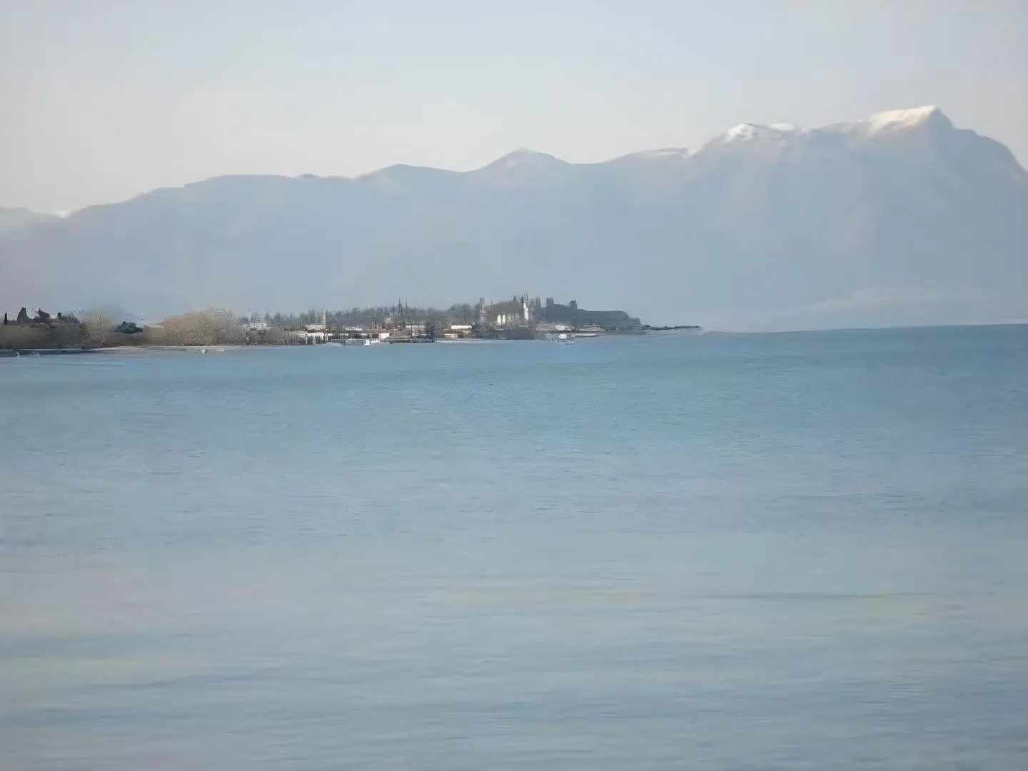 Fiordaliso LANDSCAPE