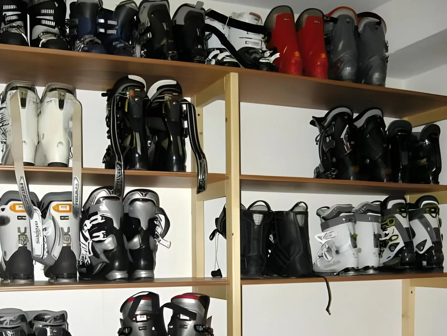 Federia SPORTS_AND_LEISURE