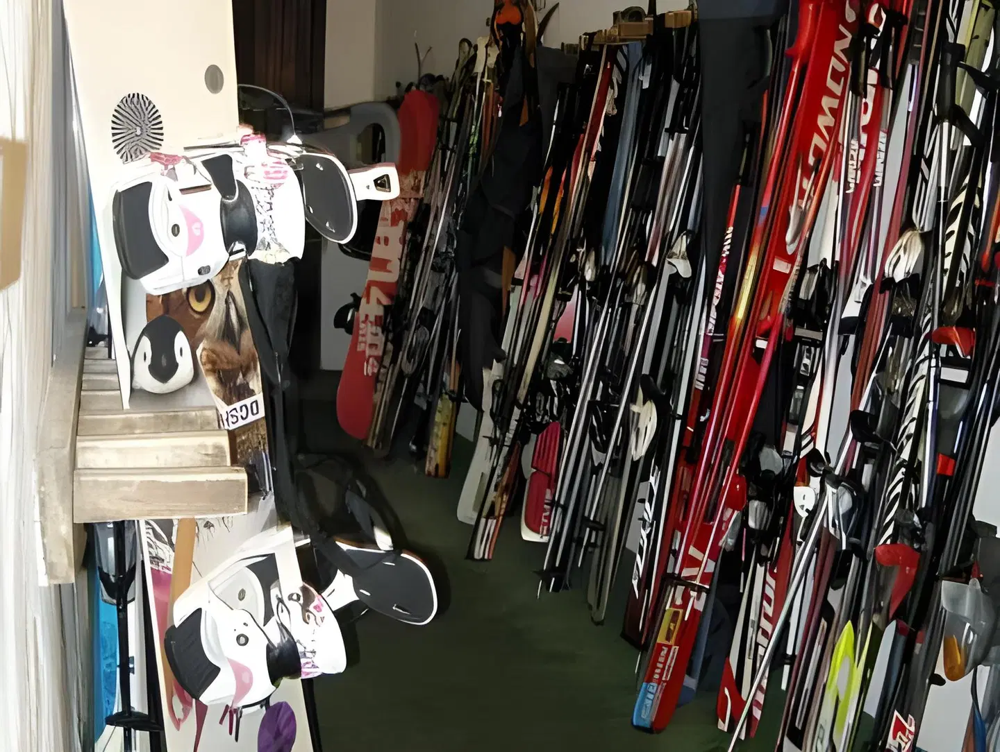 Federia SPORTS_AND_LEISURE