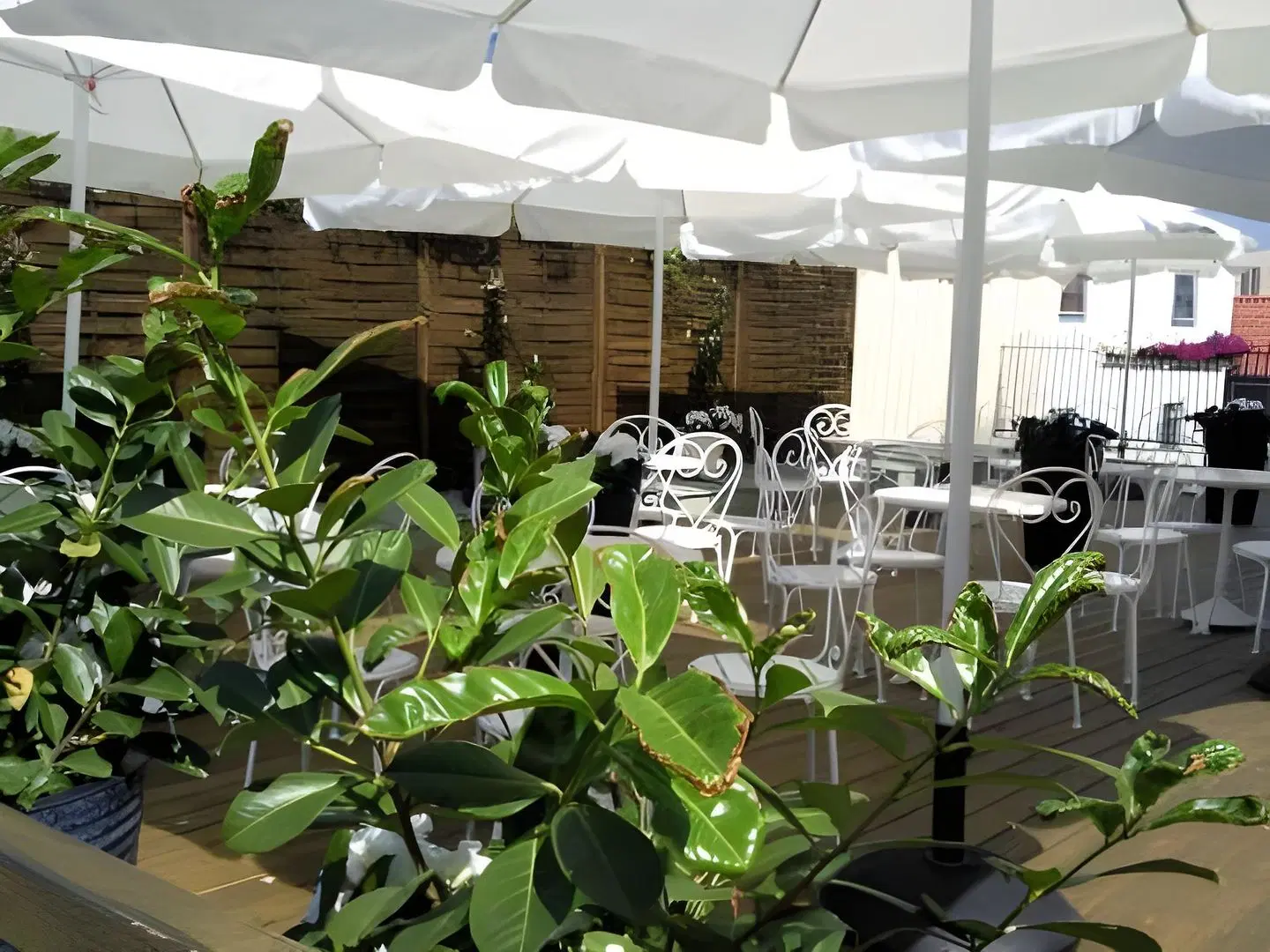 Grand Hotel Falkenberg Terrasse